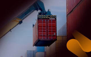 Dahilde İşleme Rejimi; İmha